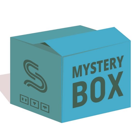 Accessories Mystery Gift Box For Him Poshmark